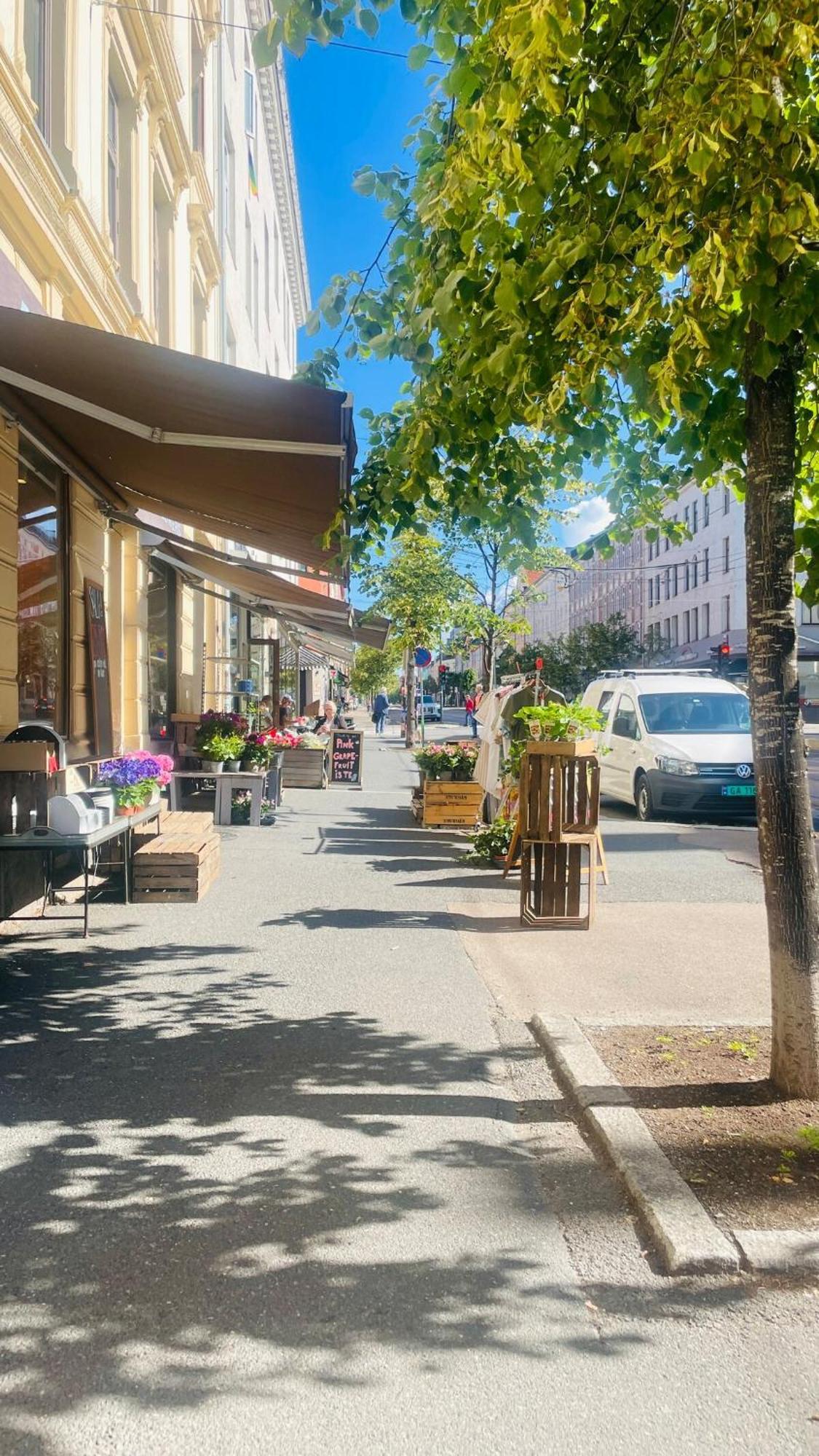 Penthouse Balcony,parking And 2 Bedrooms Oslo